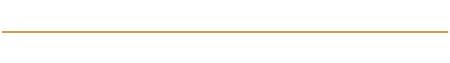 light logo